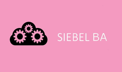 SIEBEL Business Analyst Training
