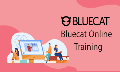 BlueCat Training