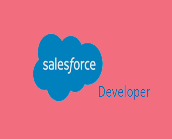 Salesforce Developer Training