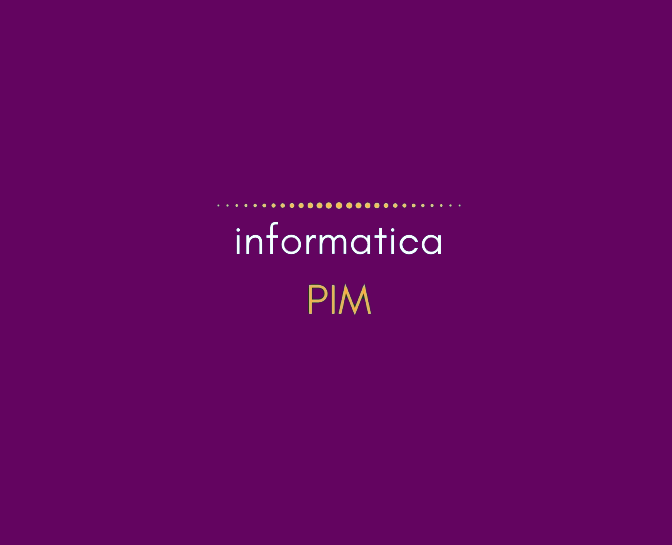 Informatica PIM Training