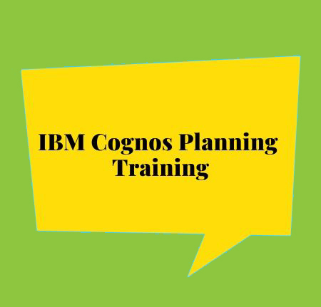 IBM Cognos Planning Training