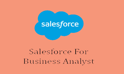Salesforce Business Analyst Training