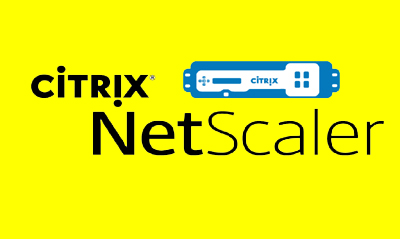 Citrix NetScaler Training
