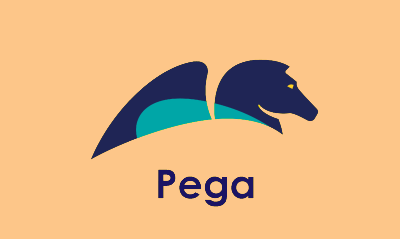 Pega Training