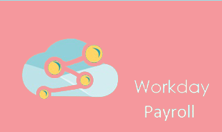 Workday Payroll Training