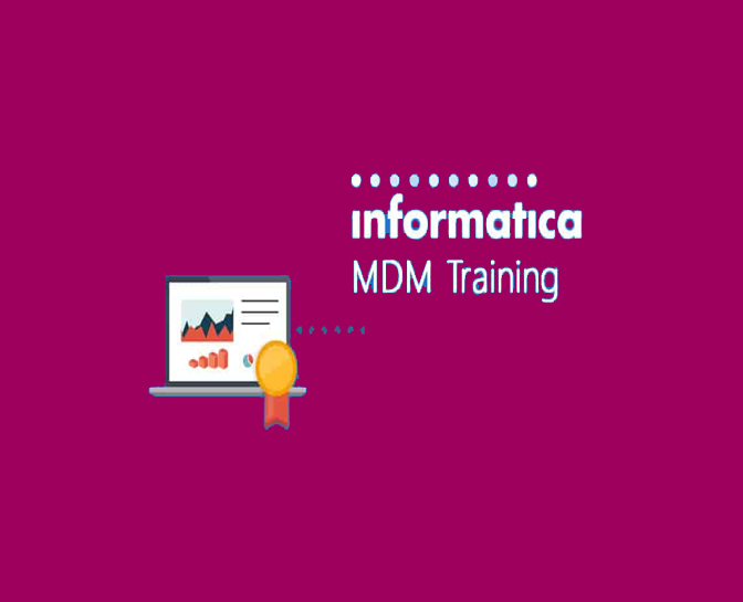 Informatica Multi Domain MDM Training
