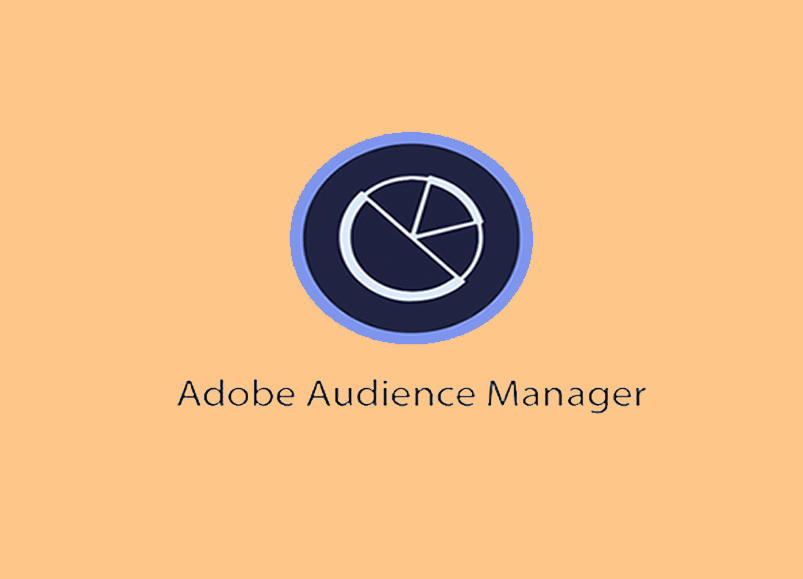 Adobe Audience Manager Training